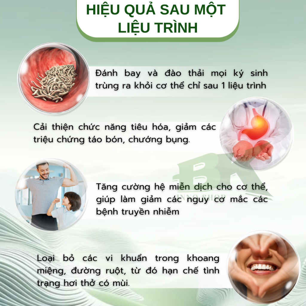 Viên Uống Thảo Dược DETOXIC Nga Hỗ Trợ Tiêu Diệt Ký Sinh Trùng, Giun Sán, Làm Sạch Đường Ruột, Đào Thải Độc Tố | BK INNO