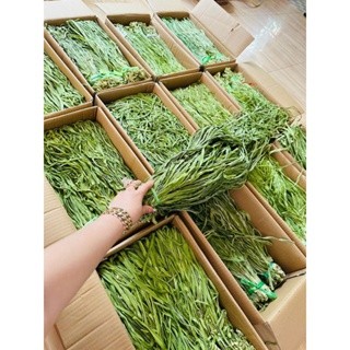 Rau Tiến Vua bịch 500gr
