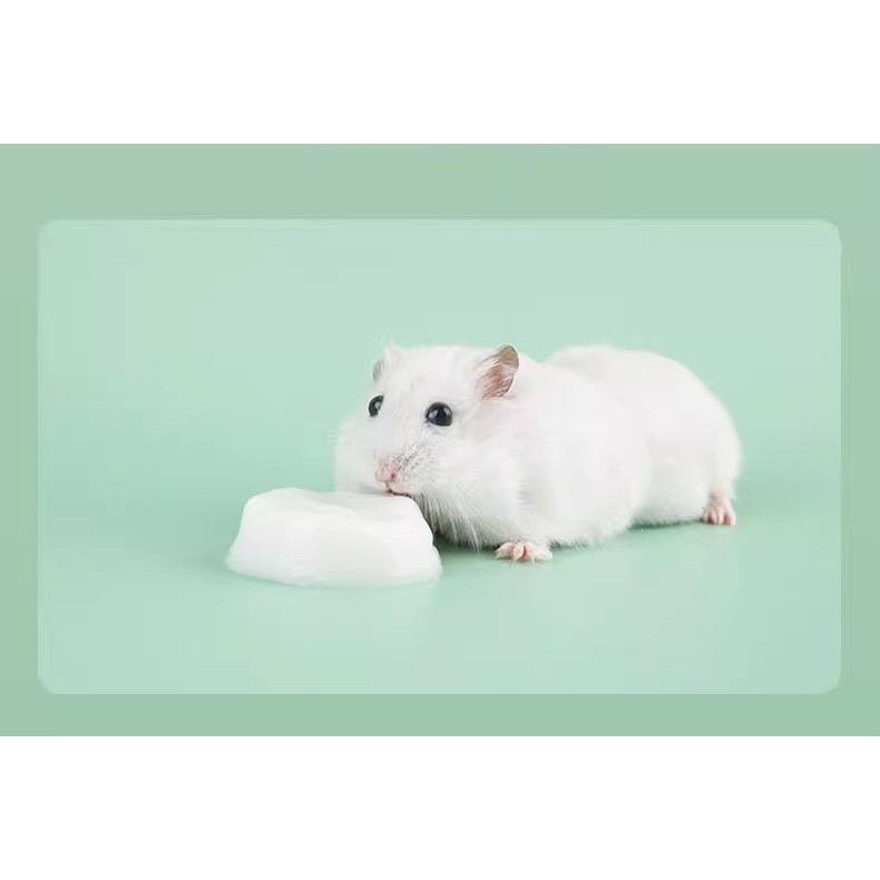 pudding sữa dê cho hamster , sóc, nhím, thỏ, bọ - T3 PETS SHOP