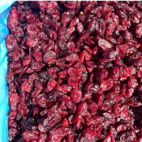 Nam Việt Quất khô Ocean Spray - 100g