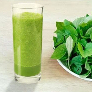 Bột rau diếp cá hữu cơ 100% nguyên chất sấy lạnh