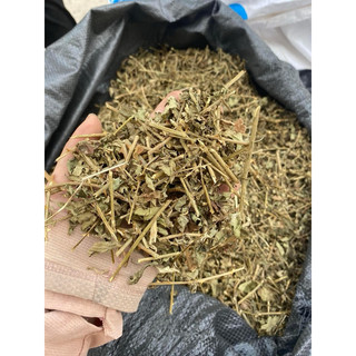 Cây cà gai leo khô, túi 1kg hỗ trợ Gan, mát gan hàng đẹp chuẩn