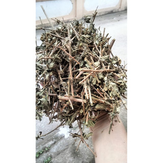 Cây cà gai leo khô, túi 1kg hỗ trợ Gan, mát gan hàng đẹp chuẩn