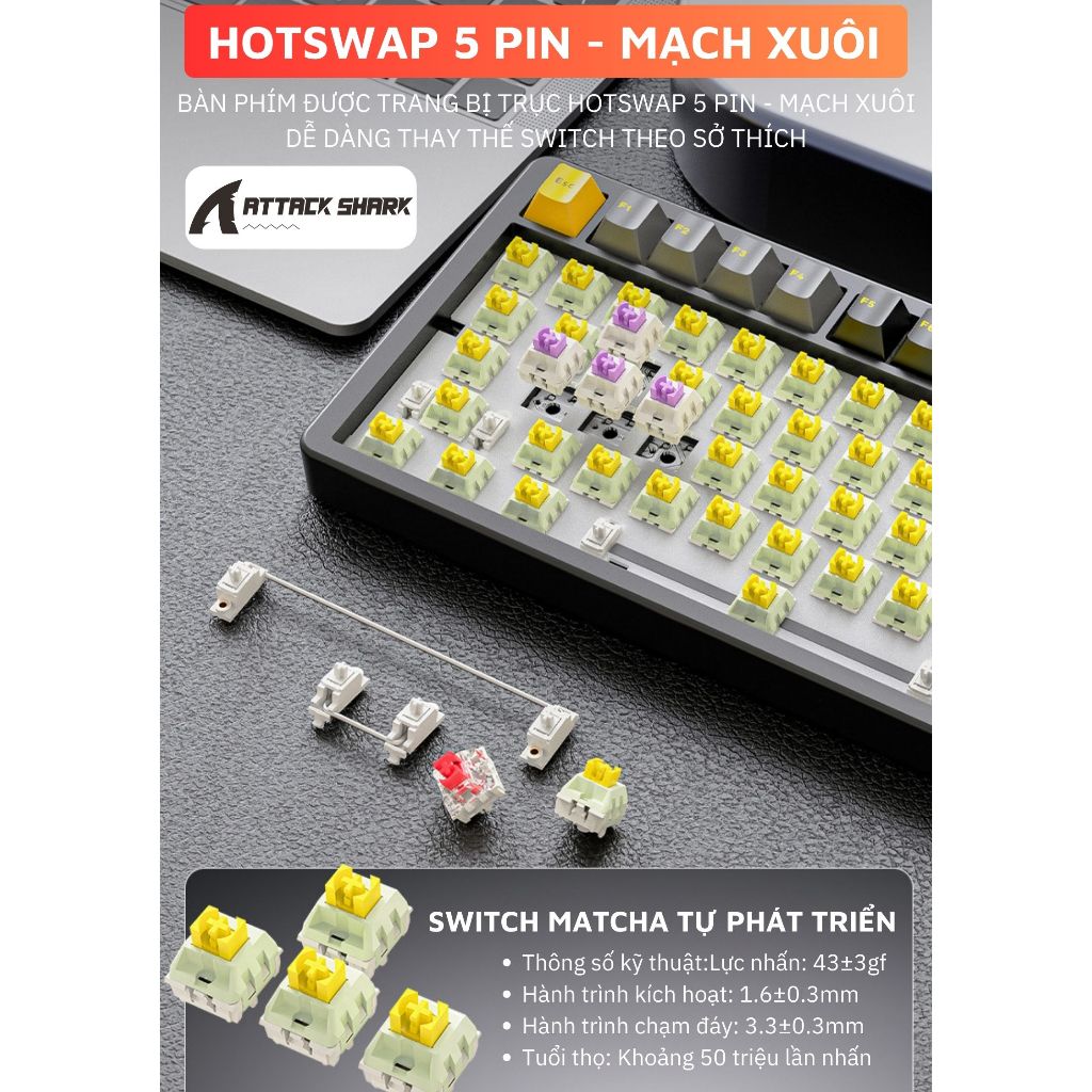 Bàn Phím Cơ Không Dây Attack Shark X86 Thiết Kế Nhôm Cao Cấp, Hotswap 5 pin, Tương Thích Máy Tính ĐT | BigBuy360 - bigbuy360.vn