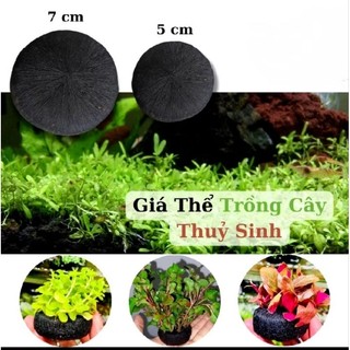 Combo 2 Cục Giá Thể Trồng Cây Thủy Sinh 7cm