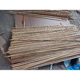 Nan tre bẫy cò vạc 1kg dài 48cm và 60cm