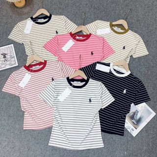 Áo Baby Tee Sọc In Ngựa Chất Borip Quảng Châu L1 Co Dãn 4 Chiều - Dư Tú Lệ Shop