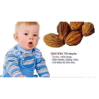 Quả kha tử 1 kg Ngâm mật ong hỗ trợ giảm ho, đau họng hiệu quả