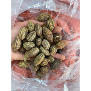 Quả kha tử 1 kg Ngâm mật ong hỗ trợ giảm ho, đau họng hiệu quả