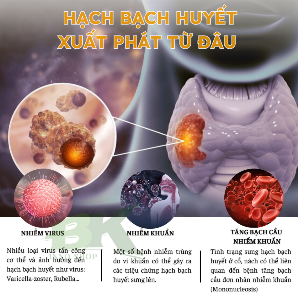 Kem Tan Hạch Bạch Huyết Cổ Truyền Nhật Bản Hỗ Trợ Teo Hạch, Giảm Sưng Đau Nhanh Chóng, Giúp Lưu Thông Mạch Máu | BK INNO