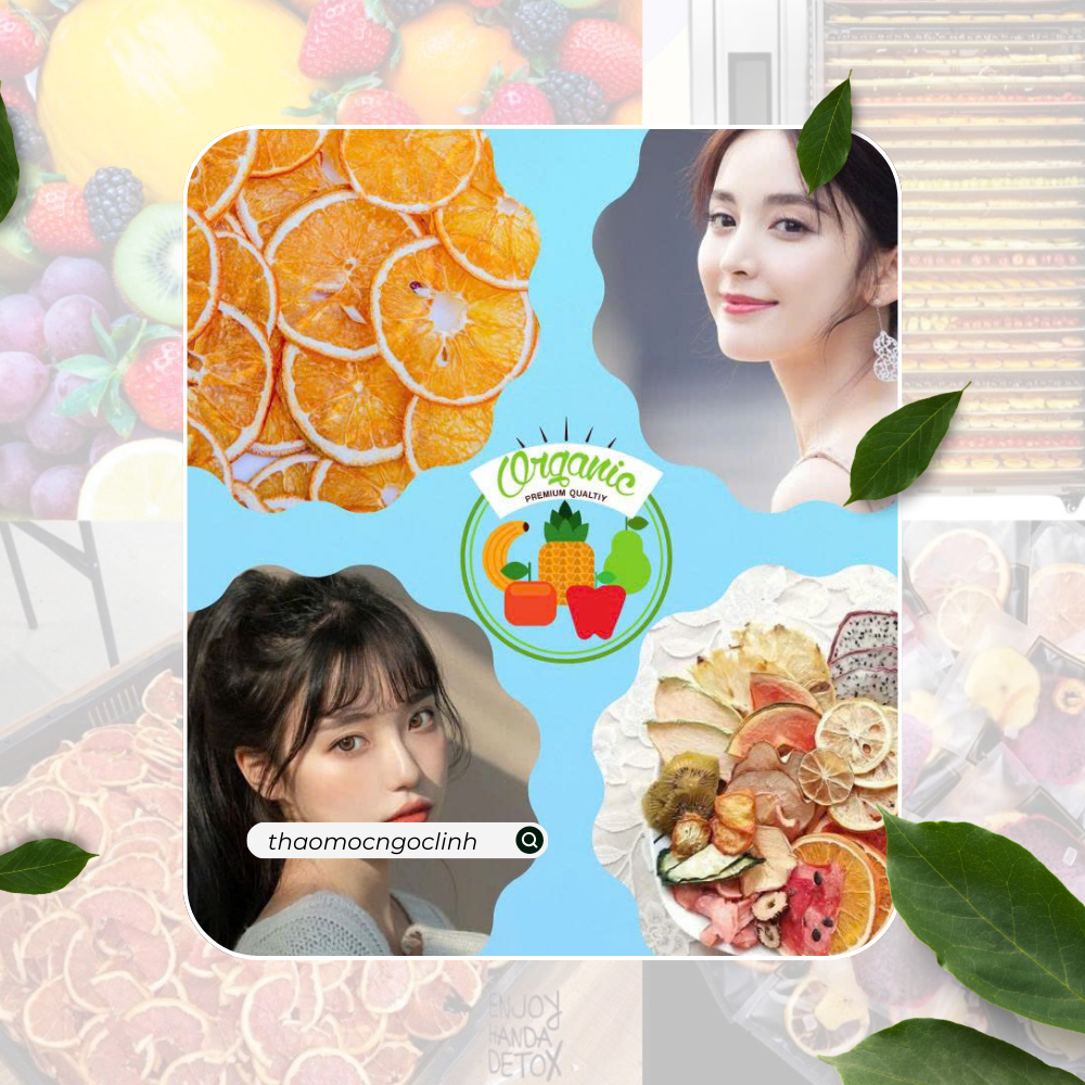 Combo 10 gói trà detox hoa quả sấy khô - detox korean - thaomocngoclinh trà detox đẹp da, thanh lọc 