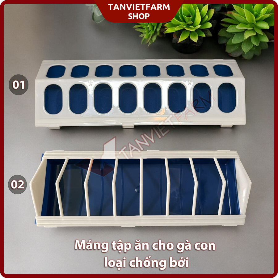 Máng tập ăn cho gà con, chim con dạng chống bới| Nhựa bền | màu sắc tươi sáng