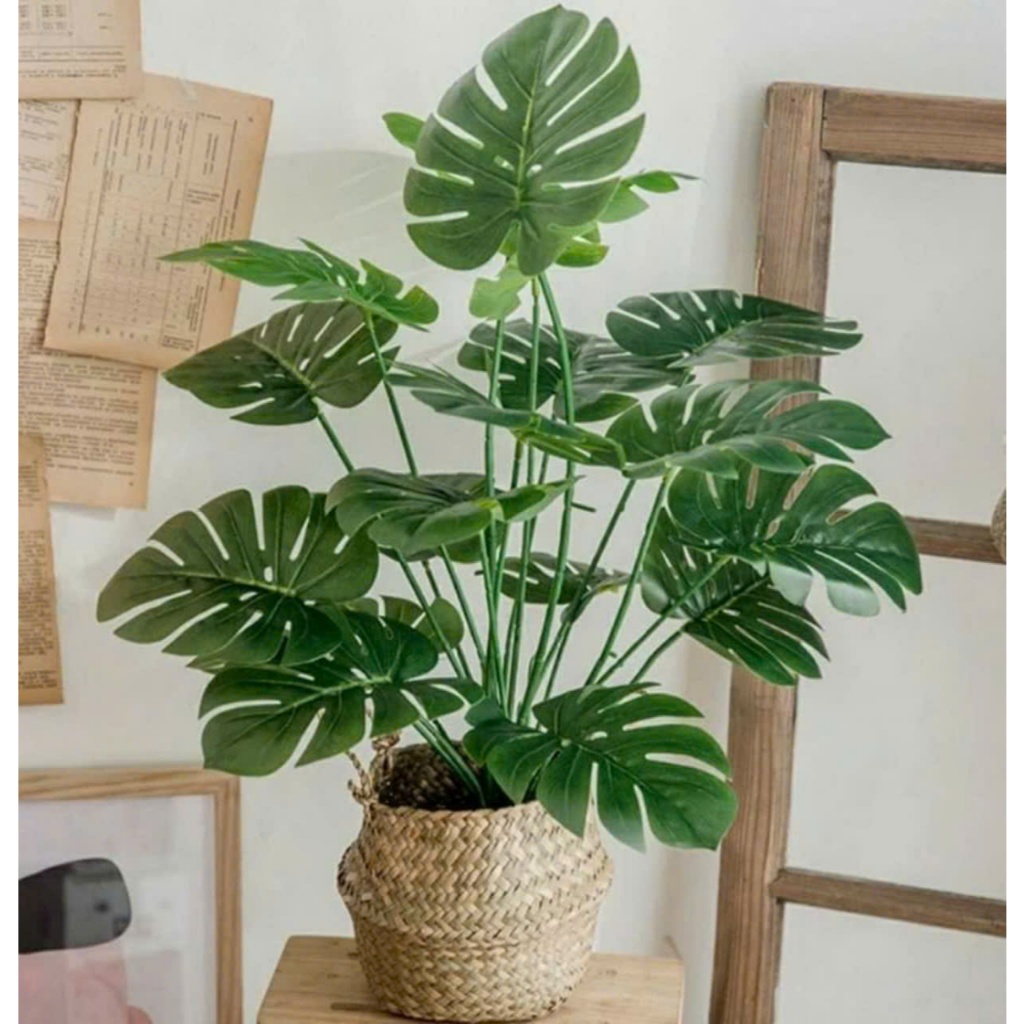 Cây Giả - Cây Trầu Bà 55cm