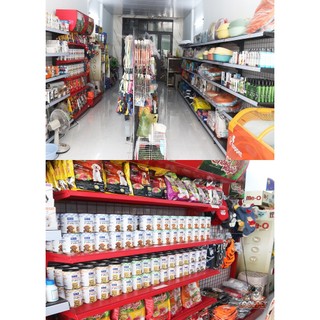 Lược Chải Rận Cho Chó Mèo – Lược Bắt Ve Rận Hiệu Quả, Làm Sạch Lông Dễ Dàng