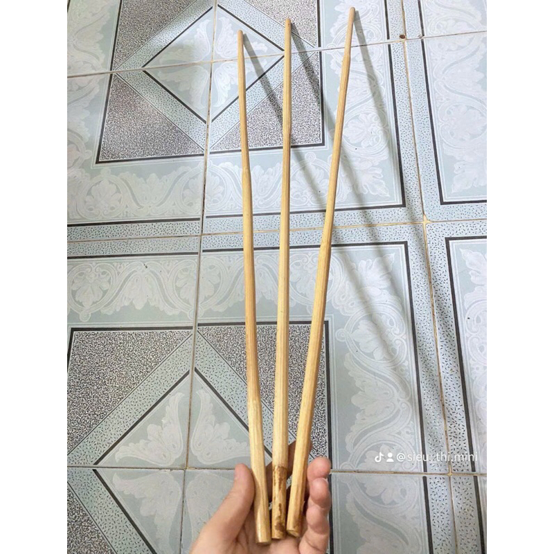 combo 5 cây roi mây dẽo dai dài 80cm còn xanh tươi