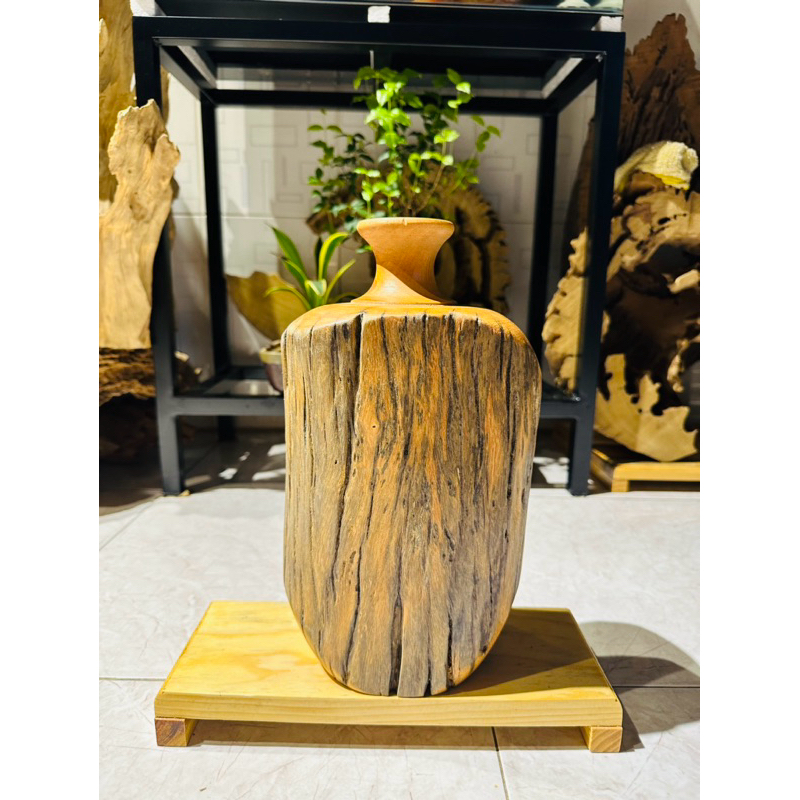 Gỗ Lũa decor bình cắm hoa  -  SHIP HOẢ TỐC TPHCM