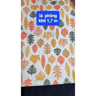 thun cotton (mẫu baby)