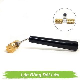 THANH LĂN ĐỒNG ĐÔI LỚN DIỆN CHẨN