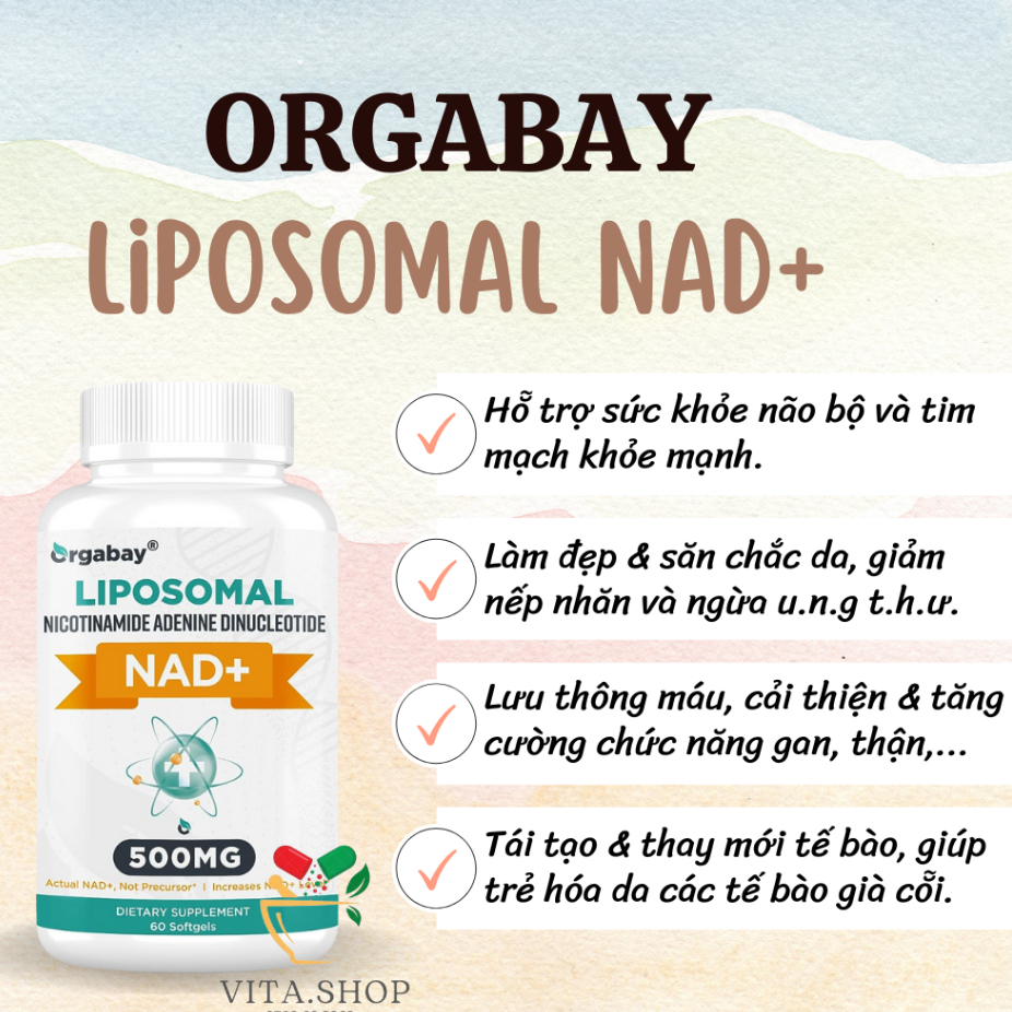 Orgabay Viên NMN Liposomal NAD+ 500mg Chống Lão Hóa, Sửa Chữa Tế Bào Nicotinamide Mononucleotide 60v