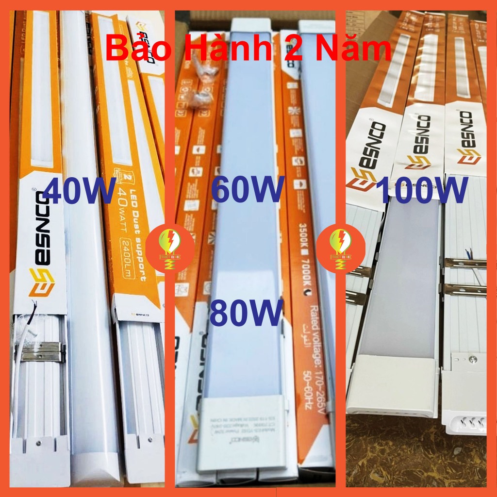 Bóng Đèn Led Bán Nguyệt 1m2 ESNCO 40W - 60W - 80W - 100W, Ánh Sáng Trắng ( 7000K ) - Đặt hàng từ 2 b