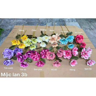 Cành mộc lan su cao câp siêu vip.