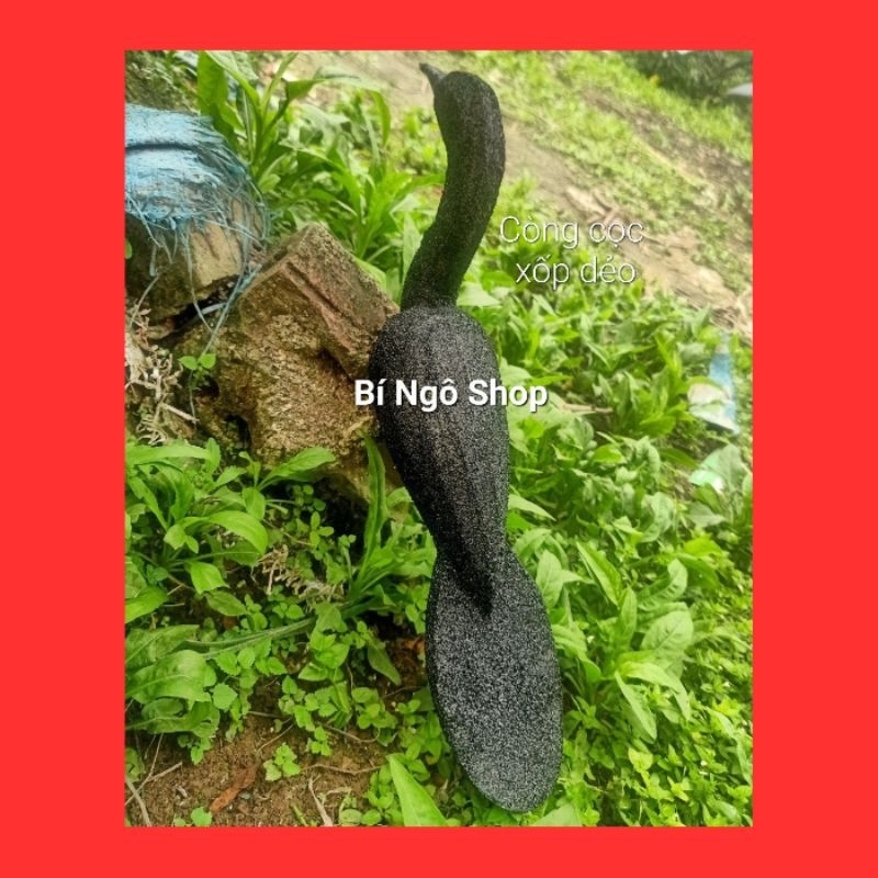 Combo 5 con còng cọc xốp đệm