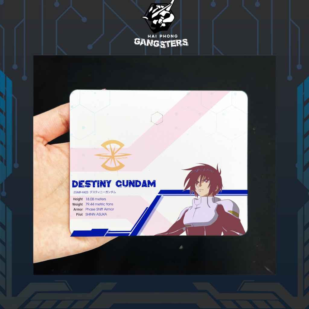 [Nhắn shop trước]SF4 - Destiny Gundam (Gundam Seed Freedom) -  Base mica cho gundam