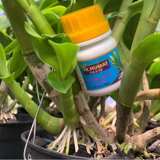 Phân Làm Mập Cây VK HUMAT 50ml - Mập Thân - Dày Lá - Vọt Đọt