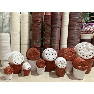 Combo 5-10 Chậu nhựa trồng cây - ươm cây (có 8size: 10.5-12-15-18-23-26-30-35cm)