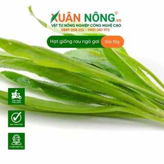 Hạt Giống Ngò Gai