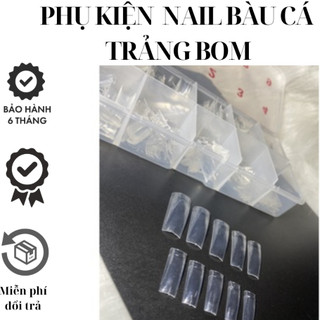 Móng Nối Form Hàn (Màu Trong) - 1 Hộp 500 Móng - Sơri Nail