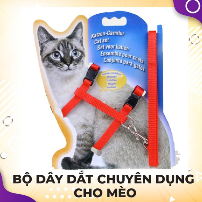 [BÁN CHẠY] BỘ DÂY DẮT CHUYÊN DỤNG CHO MÈO