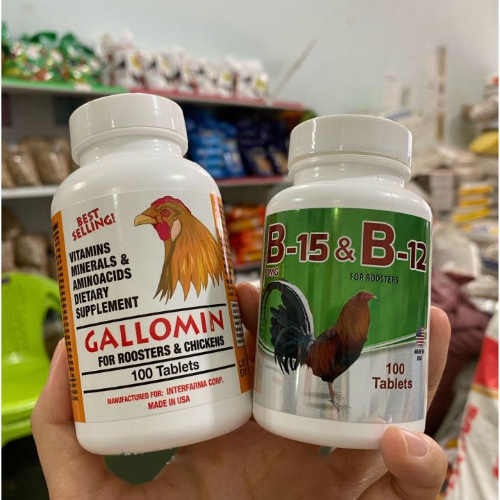 Gallomin, B12&B15 thuốc gà đá tăng bo tăng cơ nhanh cho gà chọi vs gà tre hủ 100 viên Shop Gà Chiến