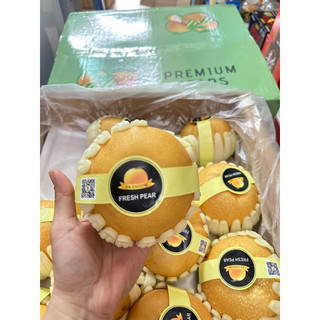 Combo 2 trái lê nâu gần 1 kg