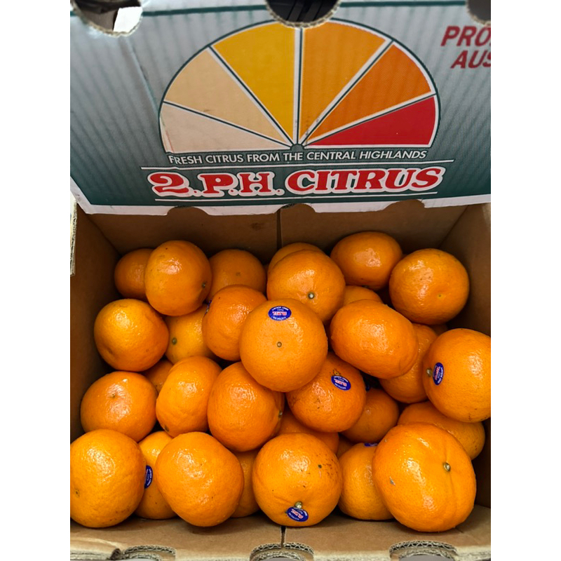 Set 6 trái quýt Úc hơn 1 kg