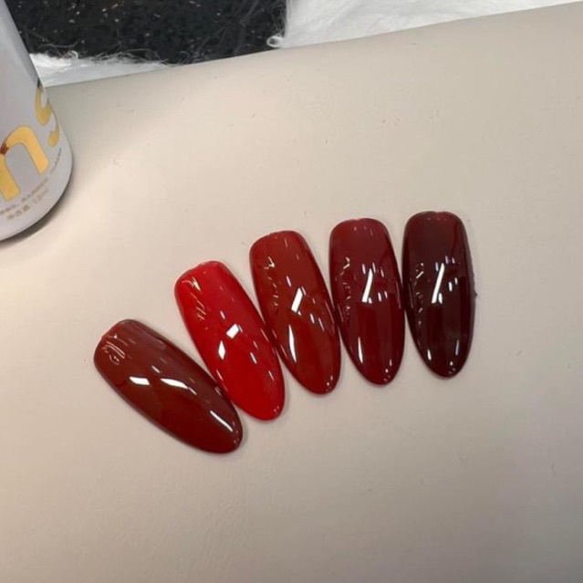 Sơn đỏ thần thánh Neysi ( set 5 màu) - Phụ kiện Nail