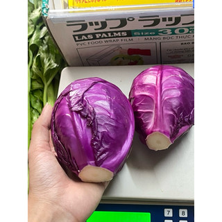 Bắp cải tím Đà Lạt ( Giao hoả tốc )