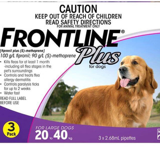 NHỎ GÁY FRONTLINE TRỊ VE RẬN CHO CHÓ
