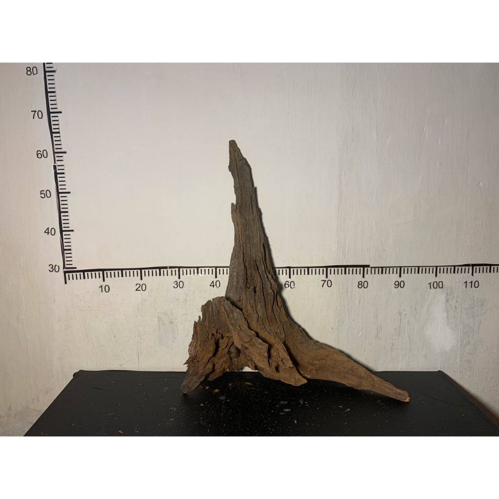 Gỗ lũa nhất trụ, trụ lũa thủy sinh, trụ lũa cho bể cá