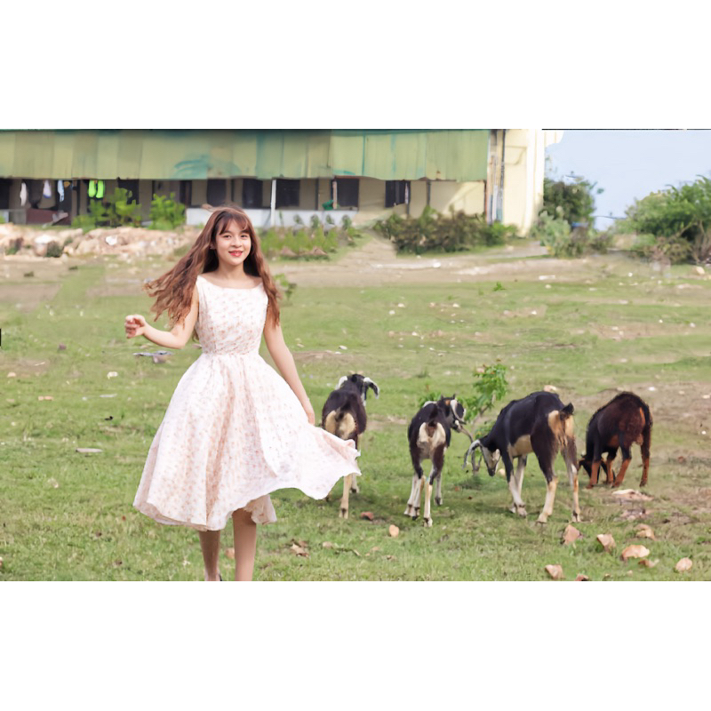 Đầm cổ thuyền