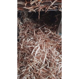 Sâm cau đỏ rừng (khô) Tây Bắc