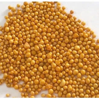 Phân Tan Chậm 14-14-14 ( kg)