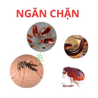 Chế Phẩm Ngừa Cuốn Chiếu , Ngăn Ngừa Côn Trùng, Nhập Khẩu Từ JAPAN Aldet 12.5SC - Lọ 5ML