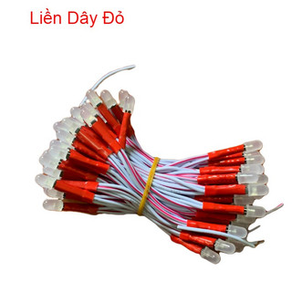Led liền dây, led ruồi 5V trang trí, làm biển vẫy [Dây 100 Bóng]