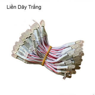 Led liền dây, led ruồi 5V trang trí, làm biển vẫy [Dây 100 Bóng]