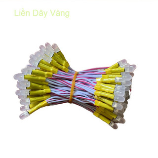 Led liền dây, led ruồi 5V trang trí, làm biển vẫy [Dây 100 Bóng]