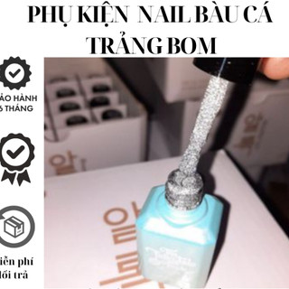 Sơn Nhũ Flash Siêu Sáng - Sơri Nail