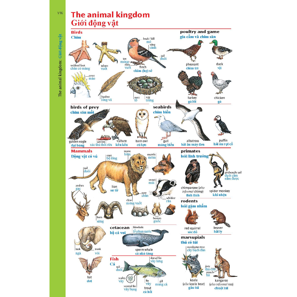 Sách - Dtpbooks - Oxford Advanced Learner's Dictionary 8th with Vietnamese Translation (HB - Bìa cứng) | BigBuy360 - bigbuy360.vn