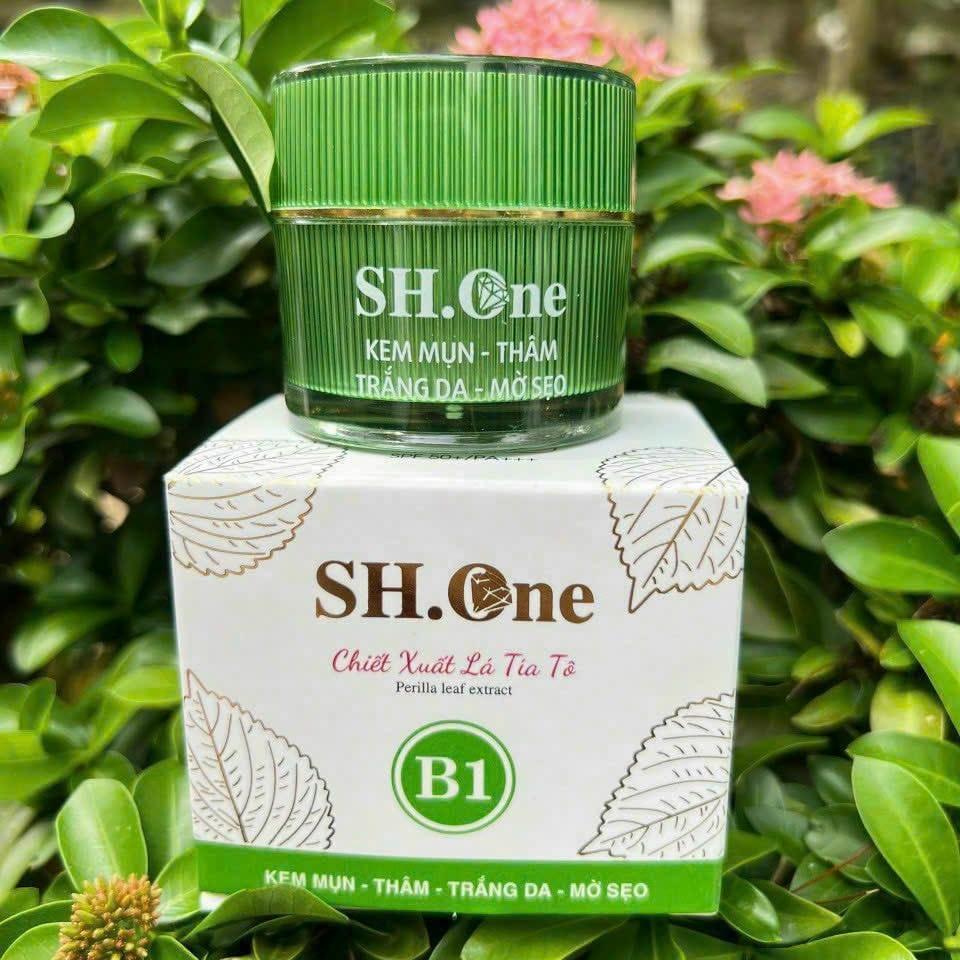 Kem Face Mụn Màu Xanh B1 SH One Chính Hãng Giá Sỉ