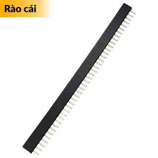 COMBO 10 Rào cái đơn 40P loại 2.54mm